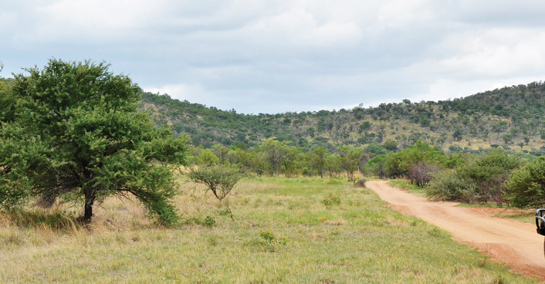 4* Mabula Game Lodge - Waterberg Package (2 Nights)