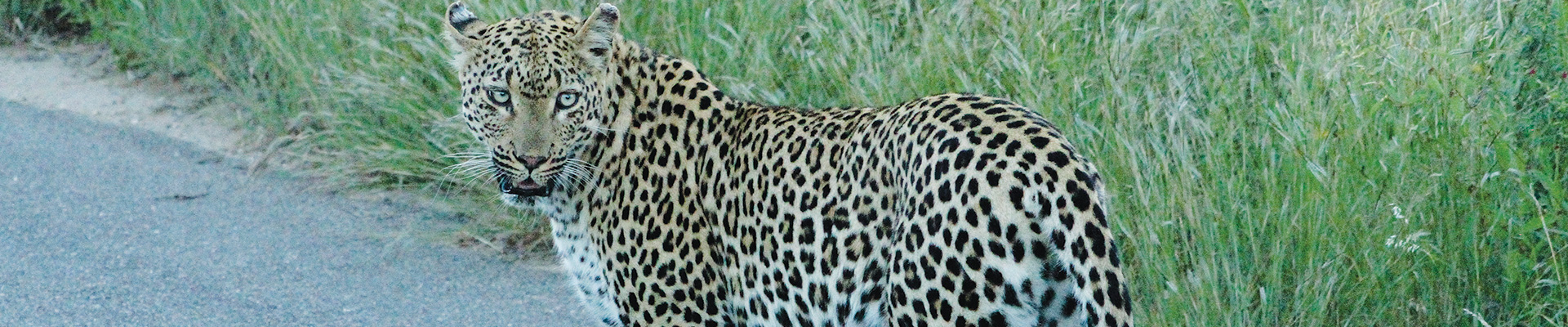 4* Skukuza Safari Lodge - Kruger National Park Package (2 Nights)