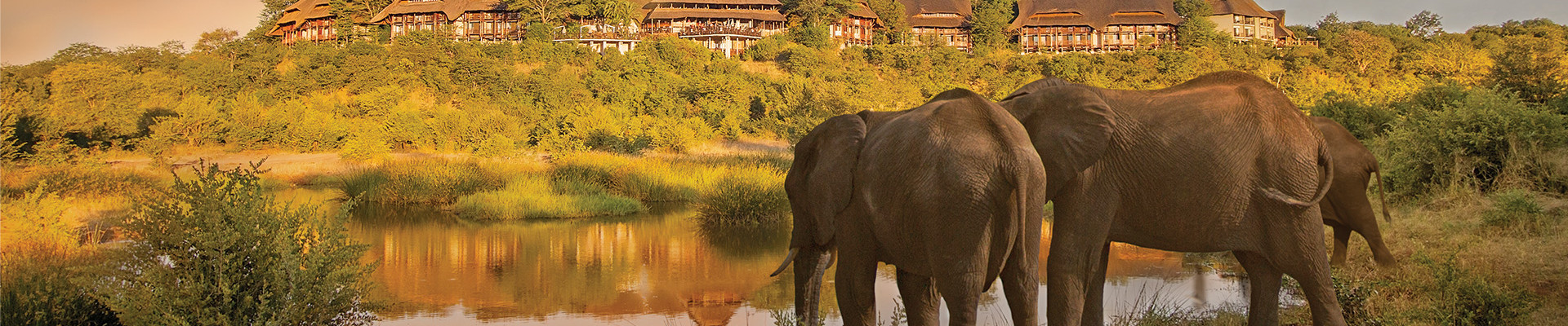 4* Victoria Falls Safari Lodge Package (3 Nights)