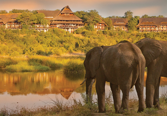 4* Victoria Falls Safari Lodge Package (3 Nights)