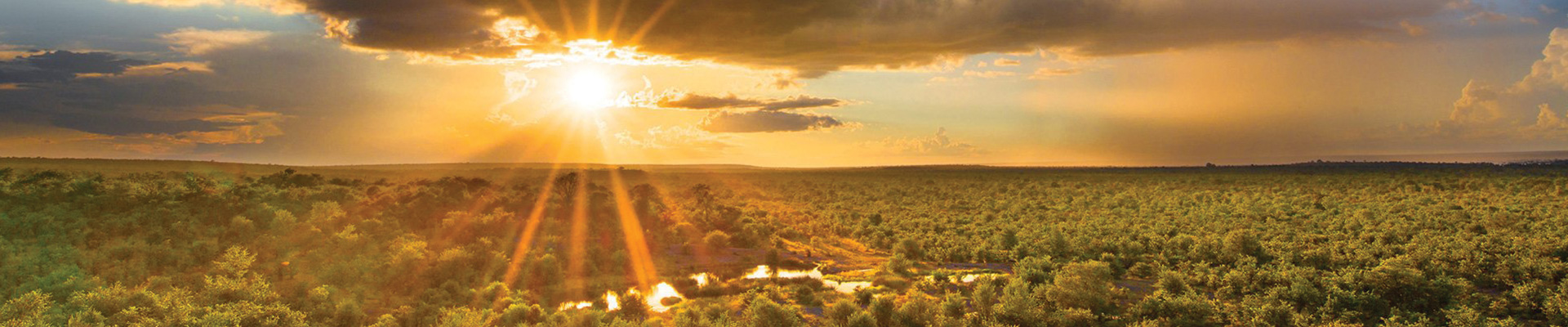 4* Victoria Falls Safari Lodge Package (3 Nights)