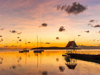 4a50cf9a 57e9 4c39 9203 ac00d359a650