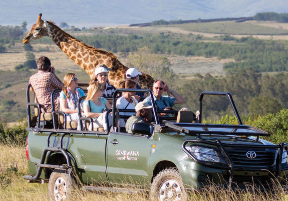 5* Gondwana Game Reserve - Near Mossel Bay Package (2 Nights)