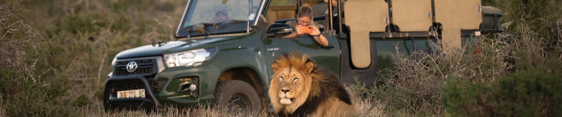 5* Kuzuko Lodge - Greater Addo Package (3 Nights)