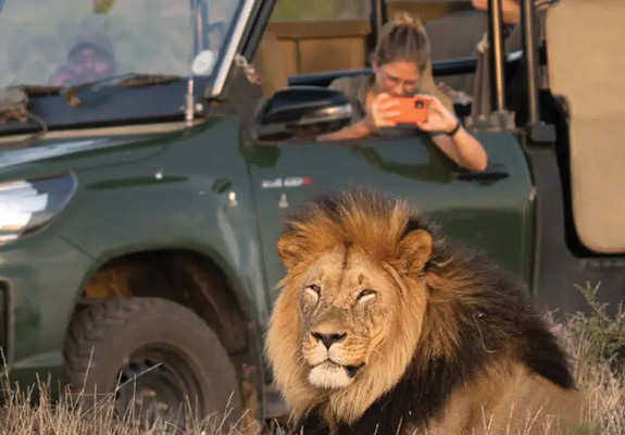 5* Kuzuko Lodge - Greater Addo Package (3 Nights)