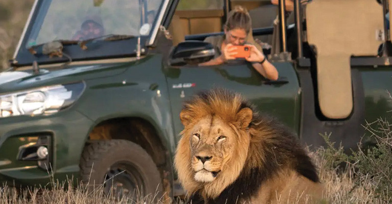 5* Kuzuko Lodge - Greater Addo Package (3 Nights)