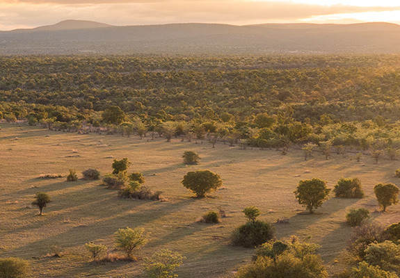 5* Kwafubesi Tented Safari Camp - Waterberg Packages (2 Nights)