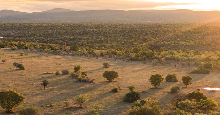 5* Kwafubesi Tented Safari Camp - Waterberg Packages (2 Nights)