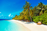 beach UDMS Thumbnails 600x300