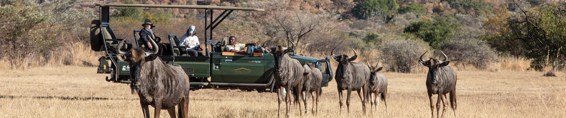 5* Safari Plains - Waterberg Package (2 Nights)
