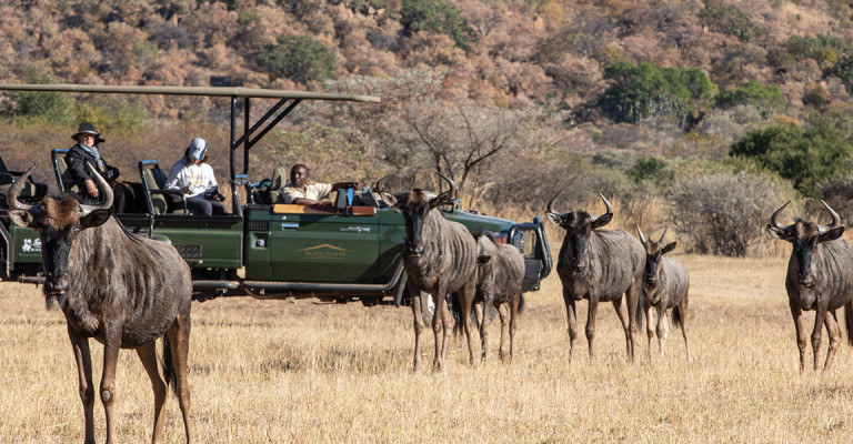 5* Safari Plains - Waterberg Package (2 Nights)