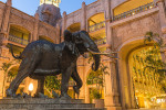 elephant UDMS Thumbnails 1 600x300