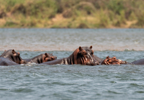 6 Nights Kavango Zambezi Combo