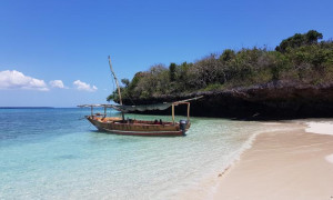 8c510e5f 1a3b 42c9 8364 be4f42c3a94a