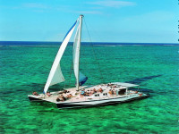 85da9f1a 3c61 4c3b 8bbb e9be9d05183d