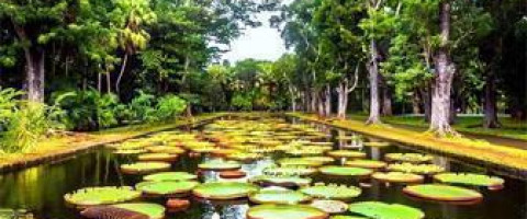 Mauritius - Shared Charming North Tour