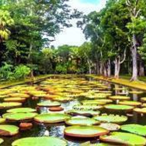 Mauritius - Shared Charming North Tour