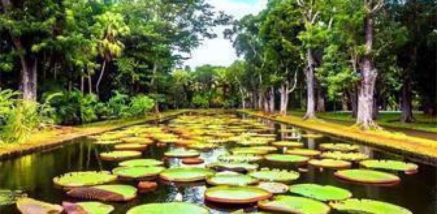 Mauritius - Shared Charming North Tour