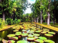 bdc5572d ebf1 422c 80dd 16065f3520d9