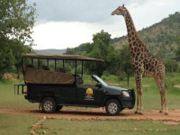 833c702a 5385 40c6 a34e c04979cff43c