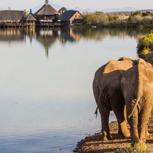 4* Buffelsdrift Game Lodge - Oudtshoorn Package (2 Nights)