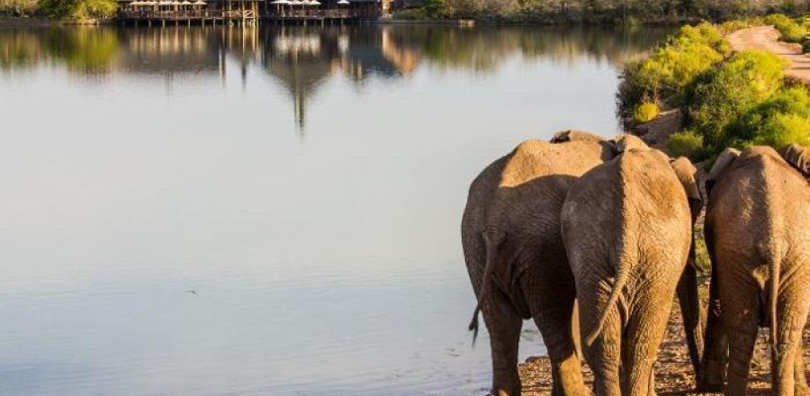 4* Buffelsdrift Game Lodge - Oudtshoorn Package (2 Nights)
