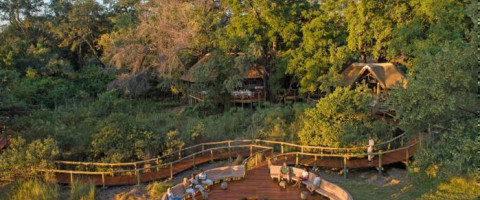 Camp Moremi - Okavango Delta Package (3 Nights)