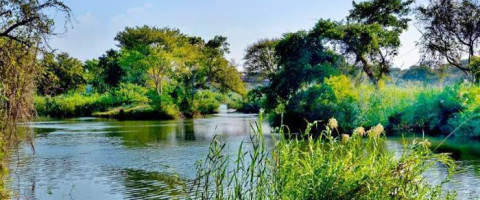 3* Thompsons Lite - Komati River Chalets - Komatipoort Package (2 Nights)