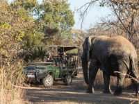 6009fe00 0051 4f0b b085 92f74a921218