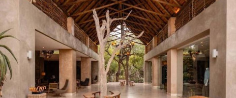 5* Kapama Private Game Reserve Southern Camp - Hoedspruit Package (3 Nights)