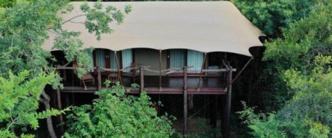 5* Kapama Private Game Reserve Buffalo Camp - Hoedspruit Package (3 Nights)