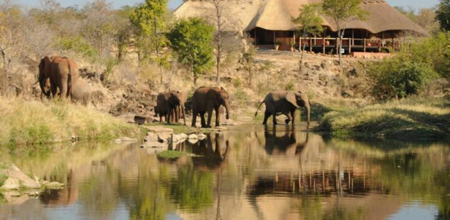 3* Superior The Wallow Lodge - Victoria Falls Package (3 Nights)