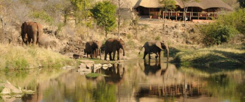3* Superior The Wallow Lodge - Victoria Falls Package (3 Nights)