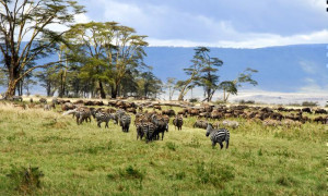 88473ee6 3715 48d3 845a 2d2616844b2b