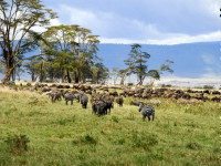 bd588b5e ff6f 4d68 a6a7 5b97123fc434