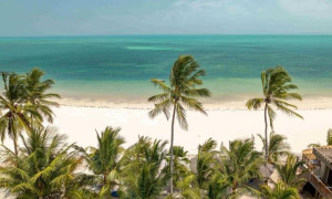 762a629a 01b0 4cdf 95fa 5803f2419ee4