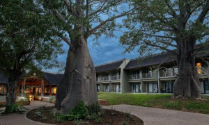 8264e8a0 3bd2 4c62 ae17 d9485cd05ed8