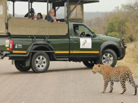 65c1647e 3f25 4bdc 8c3f 8d9dfbe7b2ac