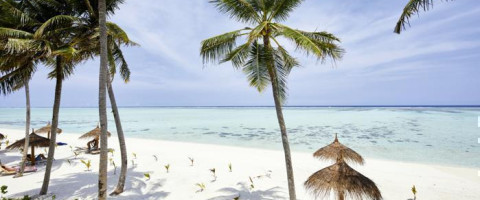 Skyscrapers to Dreamy Shores: Experience Riu Dubai and Riu Atoll, Maldives (7 Nights Package)