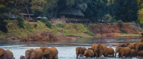 Pafuri Luxury Tented Camp - Kruger National Park Package (2 Nights)