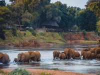 ef358182 8c05 4255 ba82 62141a0f3709