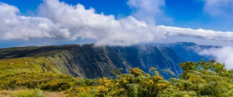 Classic Reunion Self-Drive Package (6 Nights)