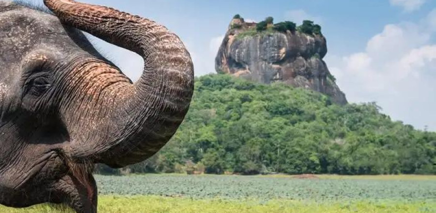 7 Nights, Endless Wonders: Classic Sri Lanka Awaits