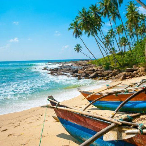 Sun, Sea & Sand: A 5-Night Sri Lanka Beach Experience
