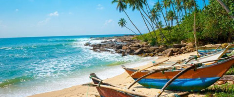 Sri Lanka Escape: 7 Nights of Beaches and Island Charm