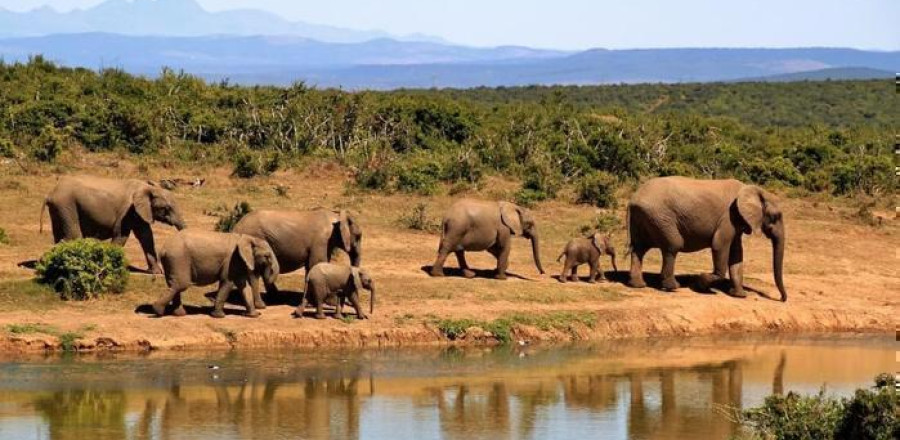 Malindi Beach & Tsavo Bush - Kenya Combo (7 Nights)