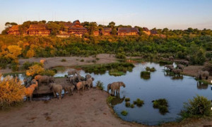 650d02bc ff71 4dd0 96cd c39645ad3c7a