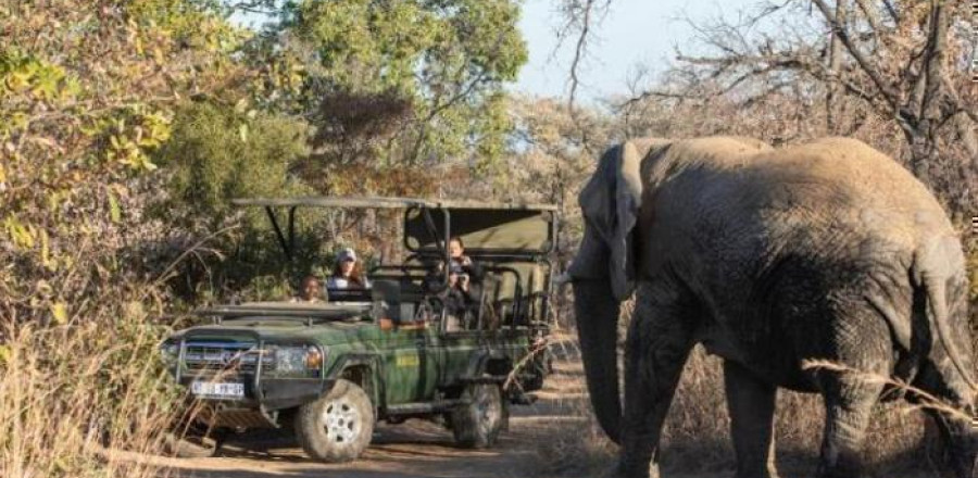 4* Mabula Game Lodge - Waterberg Package (2 Nights)