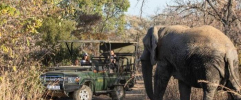 4* Mabula Game Lodge - Waterberg Package (2 Nights)