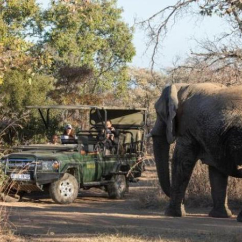 4* Mabula Game Lodge - Waterberg Package (2 Nights)